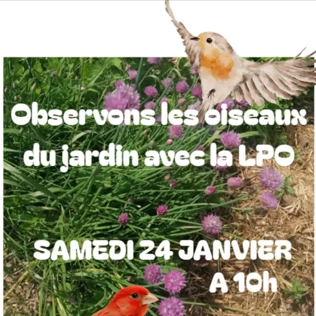 Observons les oiseaux du jardin avec la LPO_Tende