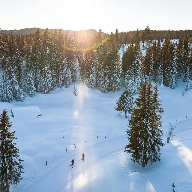 Pistes de ski de fond