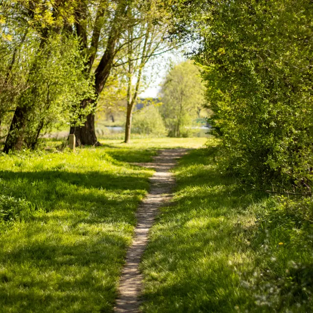 La Villevêquoise_Rives-du-Loir-en-Anjou