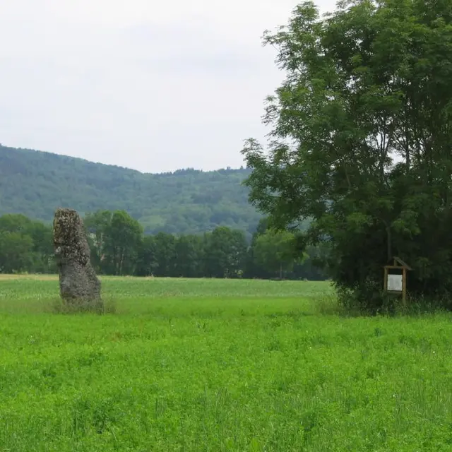 Menhir de Pierre Fiche - Simandre/Suran