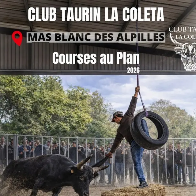Les Courses au plan du Club Taurin la Coleta_Mas-Blanc-des-Alpilles