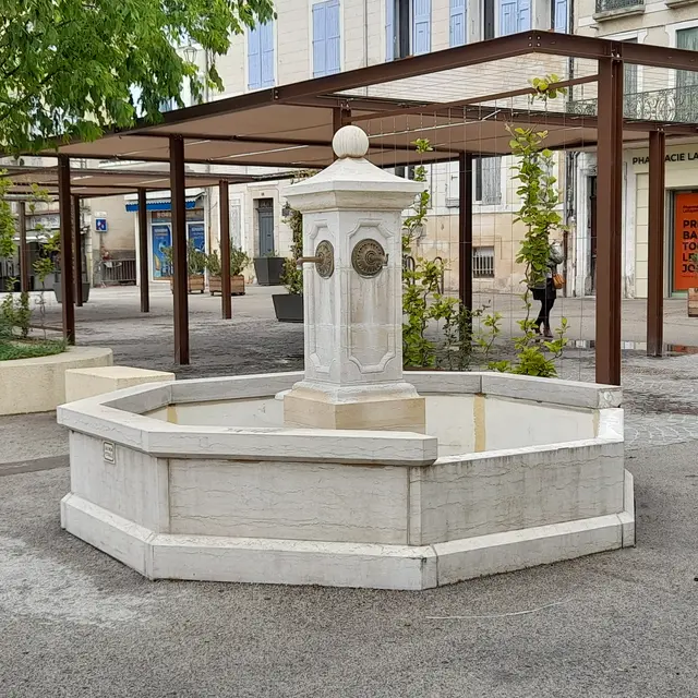 Fontaine place du Terreau
