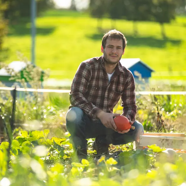 Ferme Clermidy à Saint Trivier de Courtes