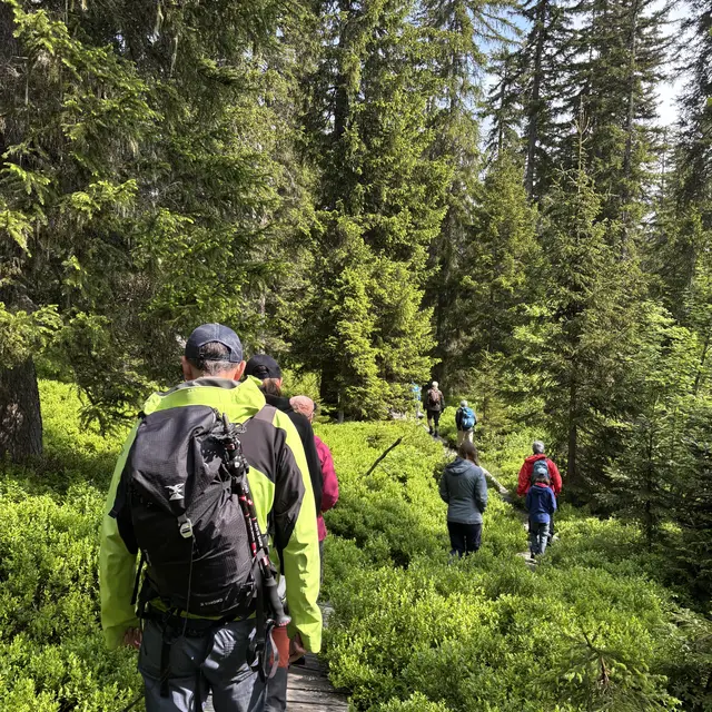 Balade guidée avec l'ONF_Les Saisies