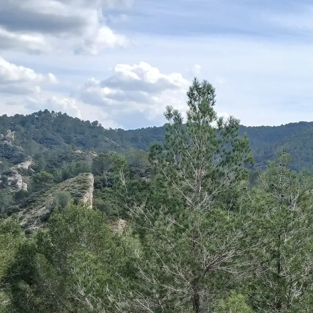 La Lèque_Saint-Rémy-de-Provence