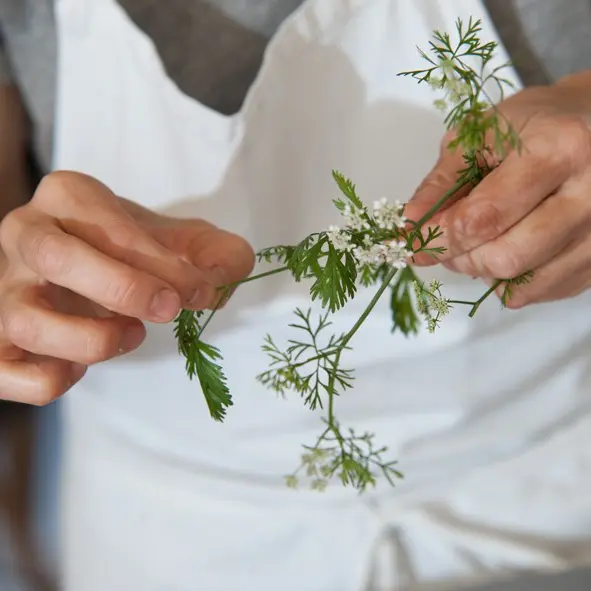 Atelier culinaire  Cardamome