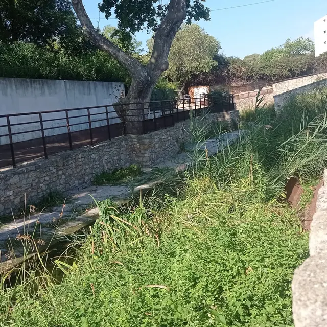 Visite du site archéologique de Tholon_Martigues