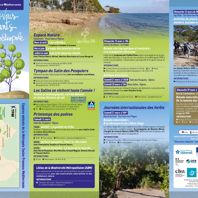 Abeilles en Seyne_La Seyne-sur-Mer