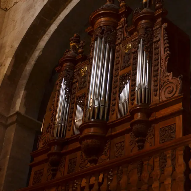 Journées du Patrimoine : l'orgue de la cathédrale_Saint-Paul-Trois-Châteaux