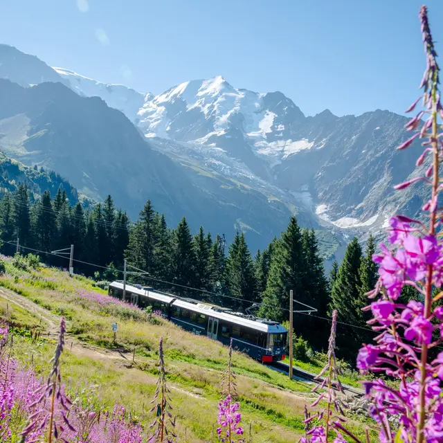 Tramway du Mont-Blanc
