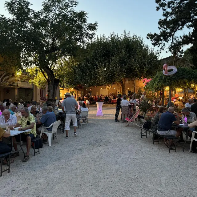 Soirée d'été au Domaine du Gros Pata_Vaison-la-Romaine