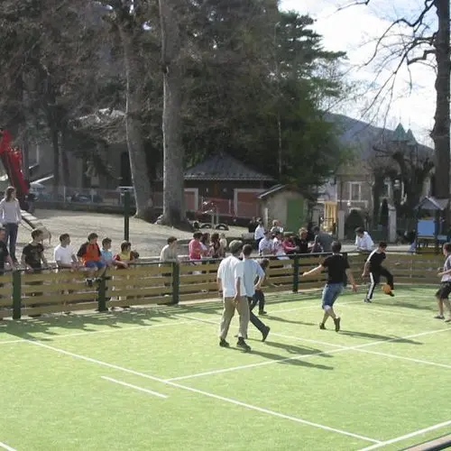 Terrain omnisport