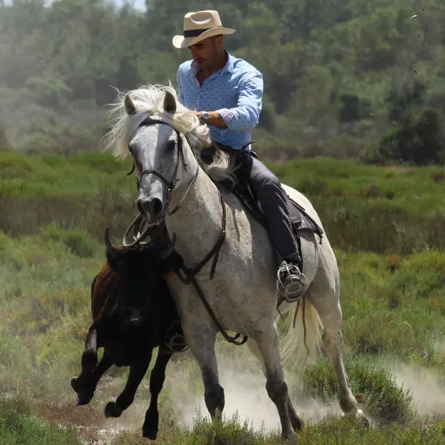Balade en 4x4 à la manade Jacques Bon_Arles