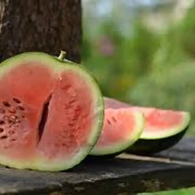 pasteque