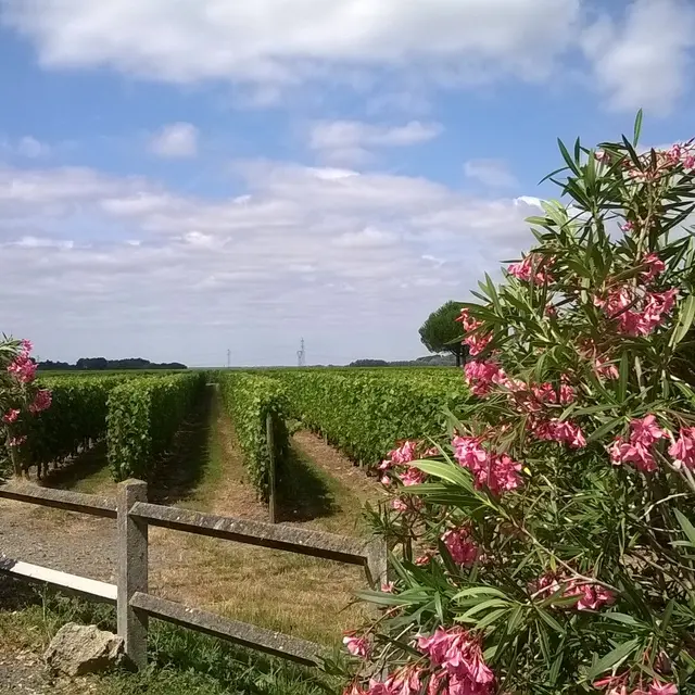 Domaine des Bonnes Gagnes