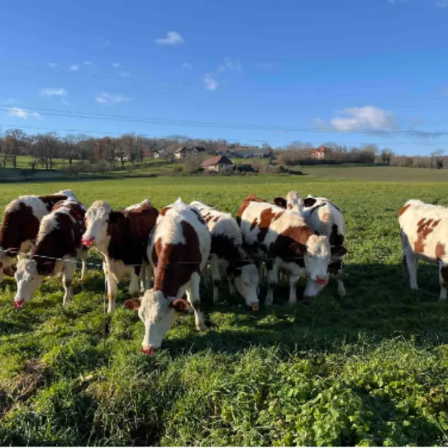 Petite boucle des Paysages des Lanches