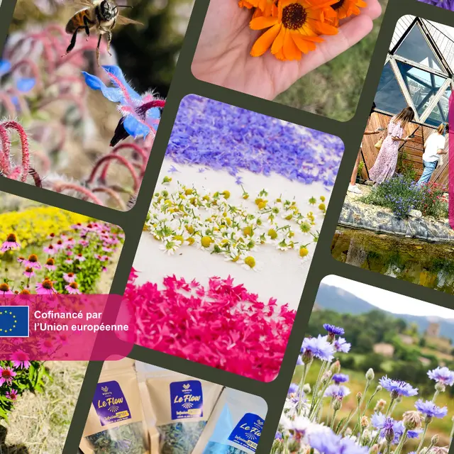 Atelier yoga et plantes_La Baume-Cornillane