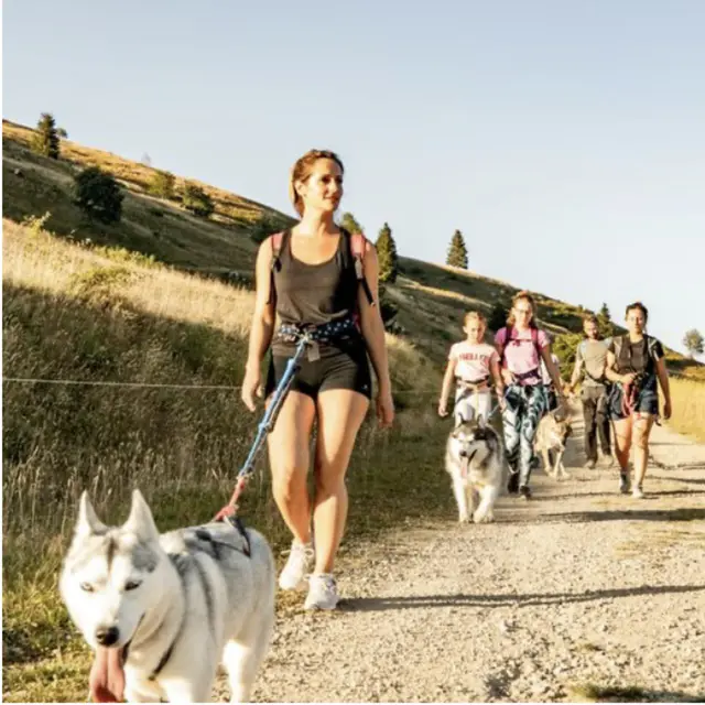 Cani-Balade_Avoriaz