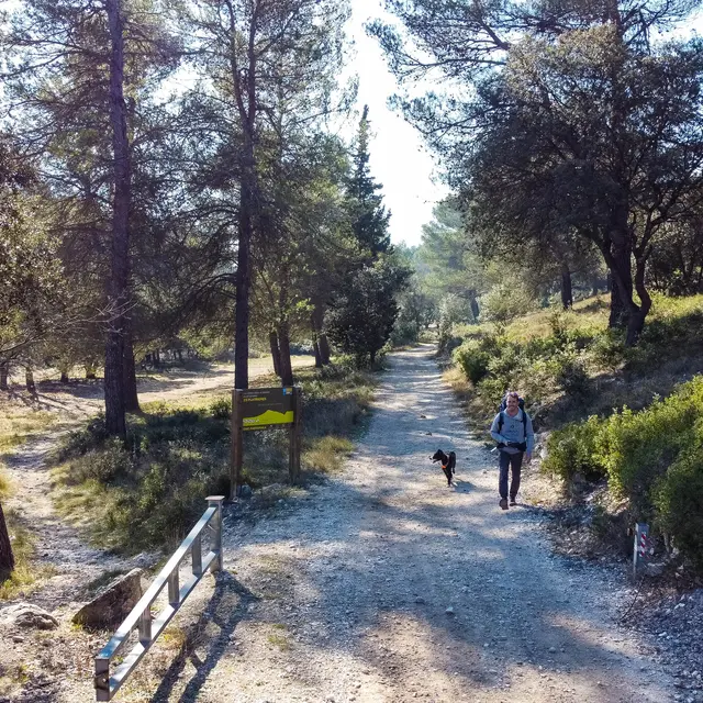 Randonnée : les Hauts de Villeneuve et le Trou de la Lune_Villeneuve-lez-Avignon