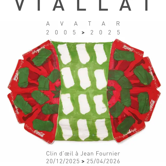 Exposition - Claude Viallat Avatar 2005-2025_Toulon