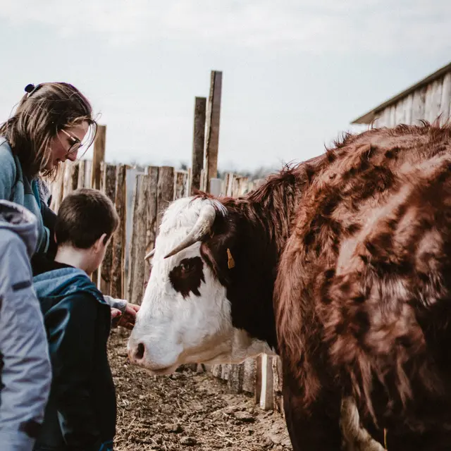 La Ferme de Zoé_Valence
