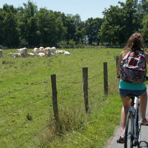 Les balades riorgeoises - L'envol_Riorges