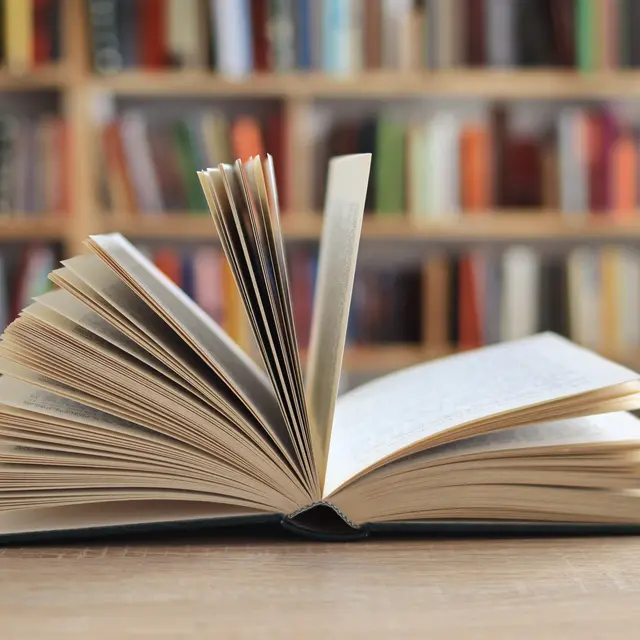 Livres entre parenthèses « Les pierres sauvages »_Cassis