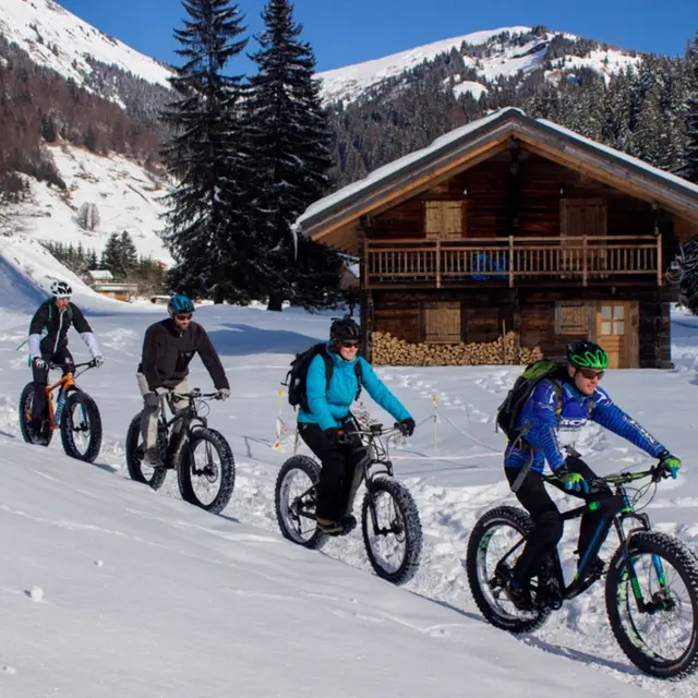 Fat Bike