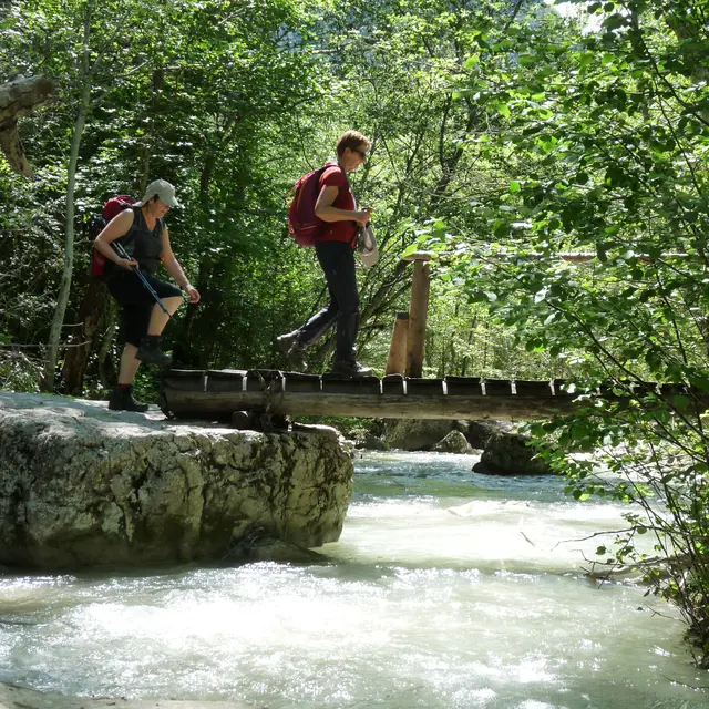 Les gorges de Trévans