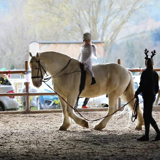 Hap Ô Tempo - Ecole d'équitation_Villeneuve-Loubet