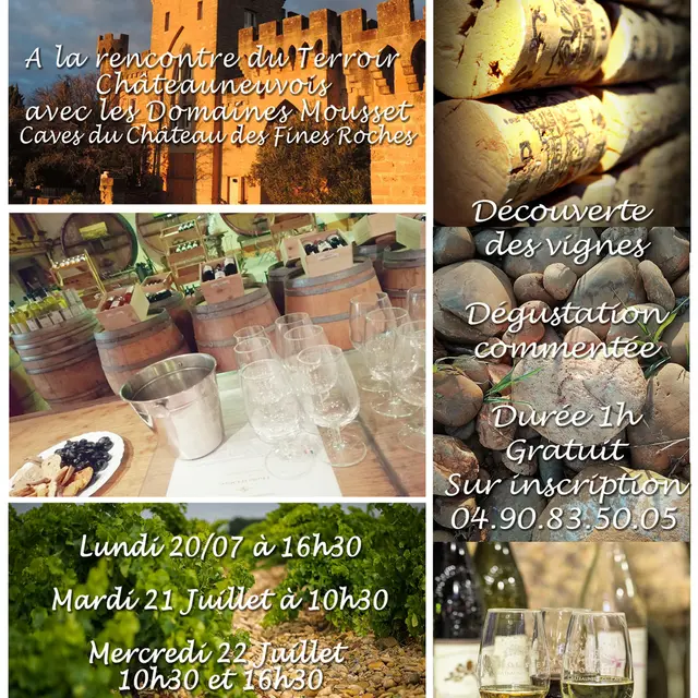 Visite des vignes et dégustation guidée aux Domaines Mousset_Châteauneuf-du-Pape