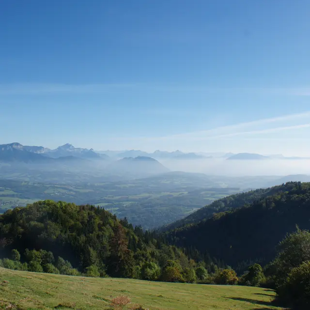 bornes