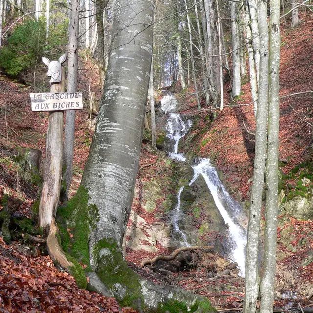 Cascade aux biches