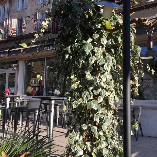 Café de l'Europe - Barjols