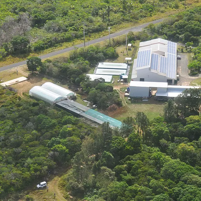 Distillerie de Takone