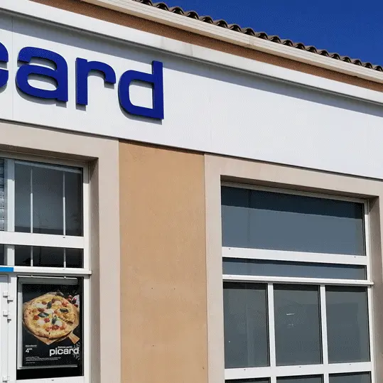 Picard Surgelés 1