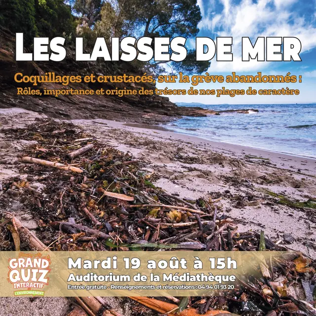 Diaporama interactif : Voyage en biodiversité marine_Cavalaire-sur-Mer
