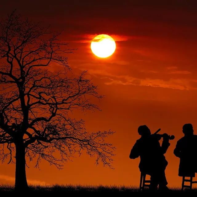 Concert - Voyage sonore au son de la harpe_Montauban