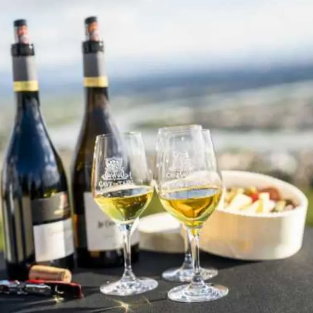 Dégustation au sommet de la Colline de l'Hermitage - Terre de Syrah_Tain-l'Hermitage