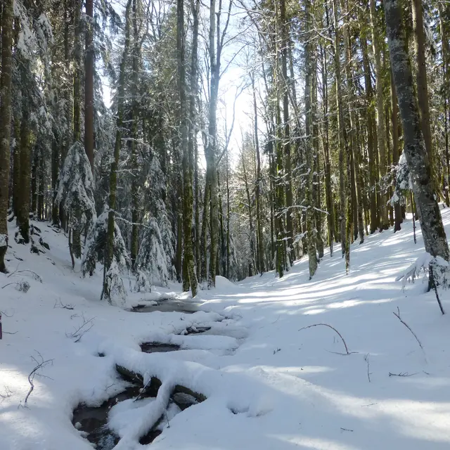 Le Nom sous la neige 3