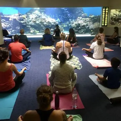 Yoga à l'Aquarium des Lagon 2025_Nouméa