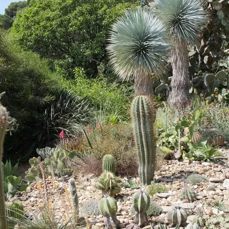 Le jardin de Francis MARMIER