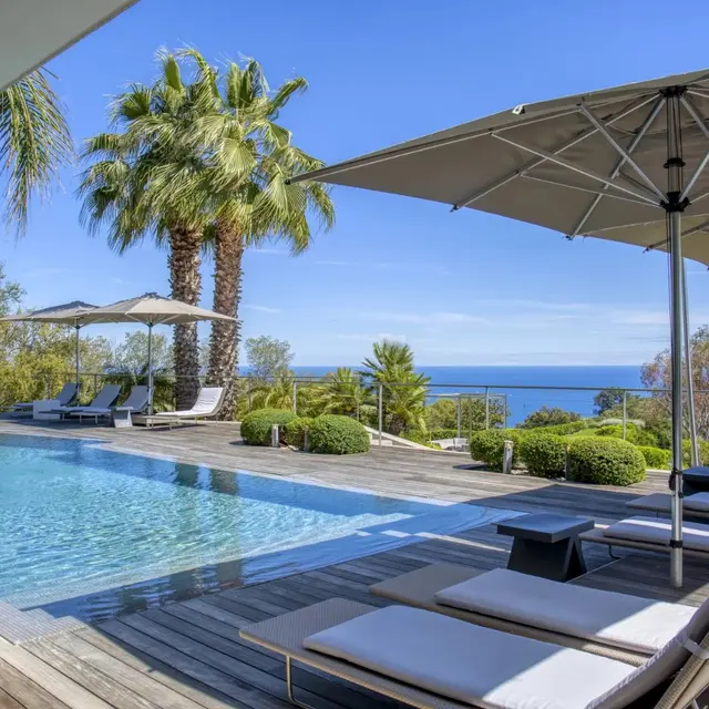 Impact Cannes_Cannes