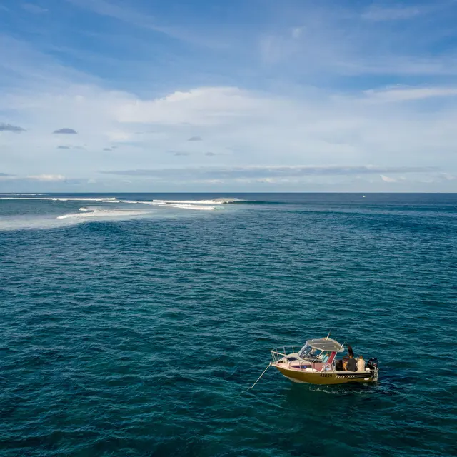 Jackaroo surf camp