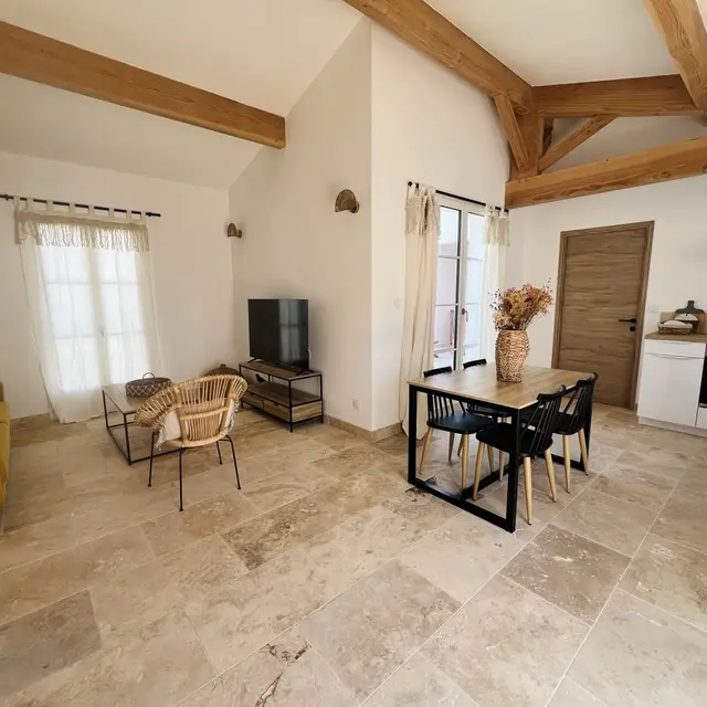 L'Oiseau des Mers_Saintes-Maries-de-la-Mer