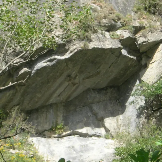 La Sirène du Bès_La Javie