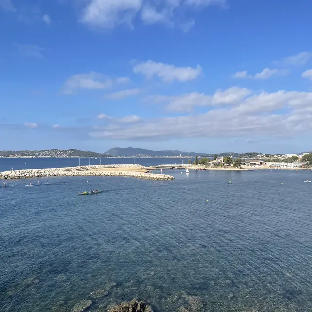 Cani-plage du Mourillon