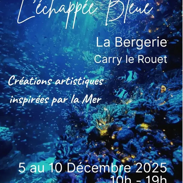Exposition L'Echapée Bleue_Carry-le-Rouet