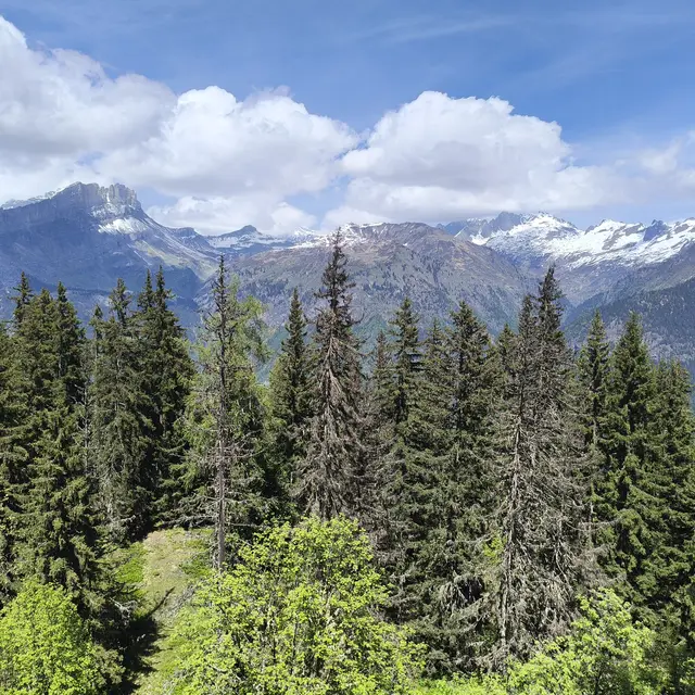 Les mercredis de Charbonnière_Passy