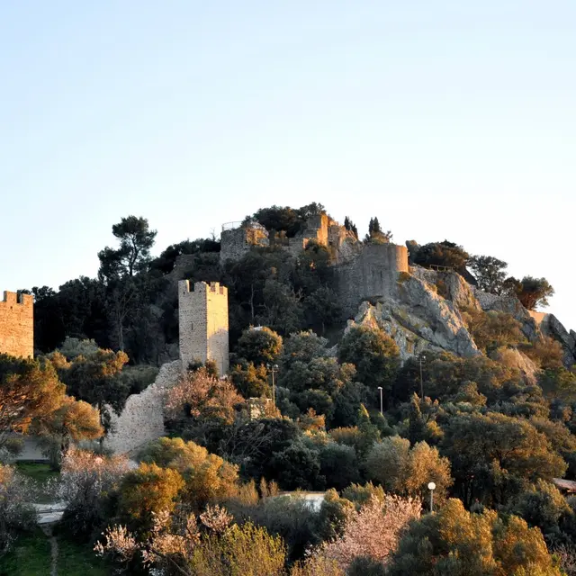 Instants archéo : le château d'Hyères_Hyères